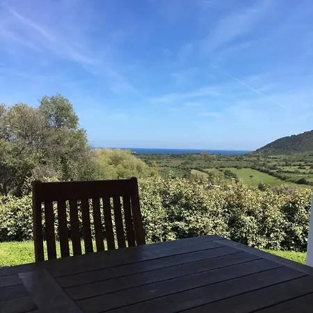 Risacca * 타나우넬라